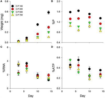 Dynamic Responses of Phosphorus Metabolism to Acute and Chronic Dietary Phosphorus-Limitation in Daphnia